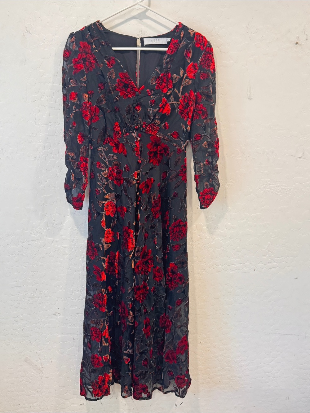 Astr the label Velvet Burnout Dress Women’s Small Black Red Floral Whimsigoth